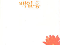 산동네 백일홍 | 박인섭 지음 | 2000.12.29