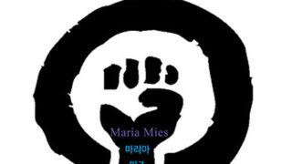 가부장제와 자본주의 | 마리아 미즈 지음 | 최재인 옮김 | 2014.1.31
